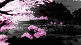 sakura-bridge.gif