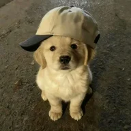 Rico