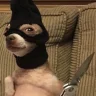 danteknight